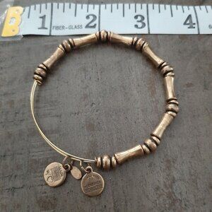 Alex And Ani Gold tone Bamboo Beaded Expandable Bracelet With energy charm